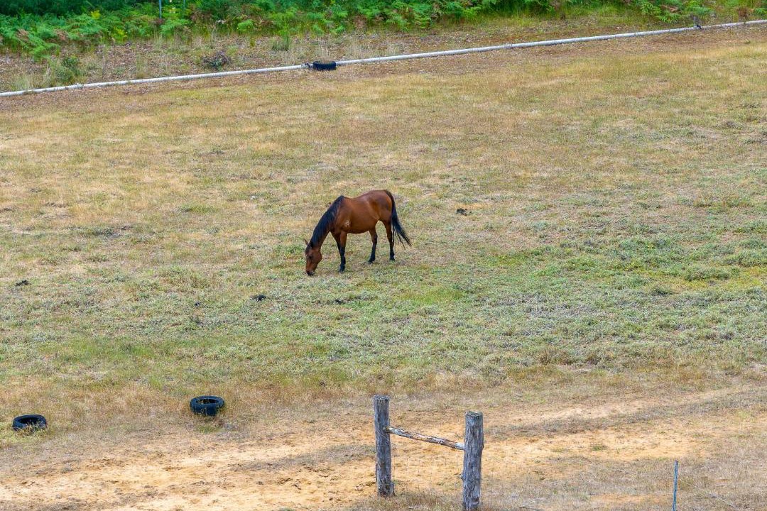 Photo of Others in Upper Warren
