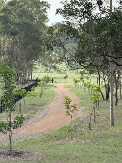 Photo of Others in Allandale