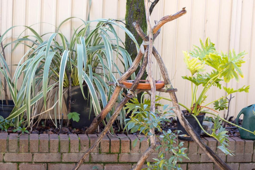 Photo of Others in Ballarat North