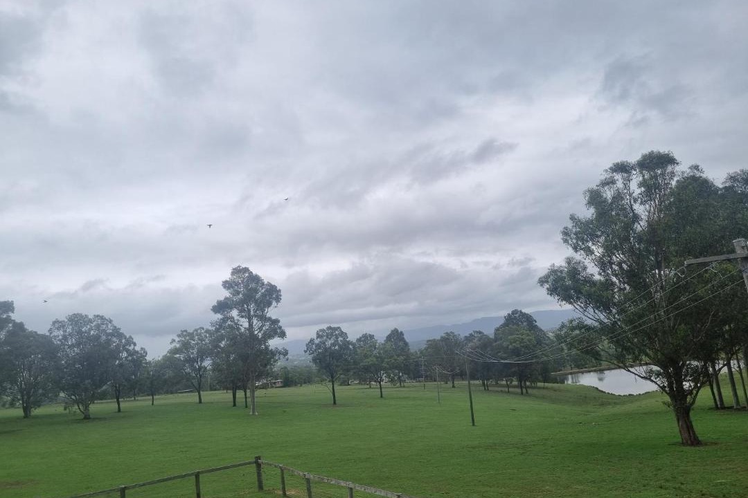 Photo of Others in Lovedale