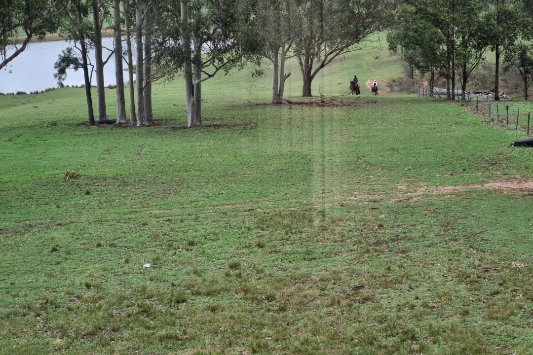 Photo of Others in Lovedale