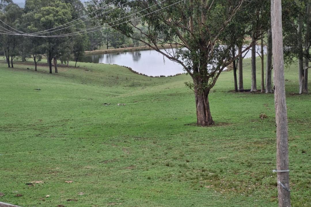 Photo of Others in Lovedale