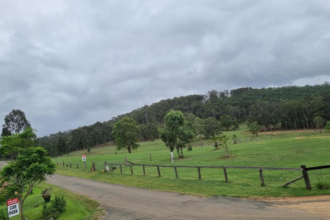 Photo of Others in Lovedale