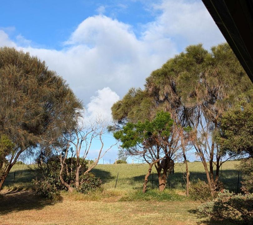 Photo of Others in Cape Bridgewater