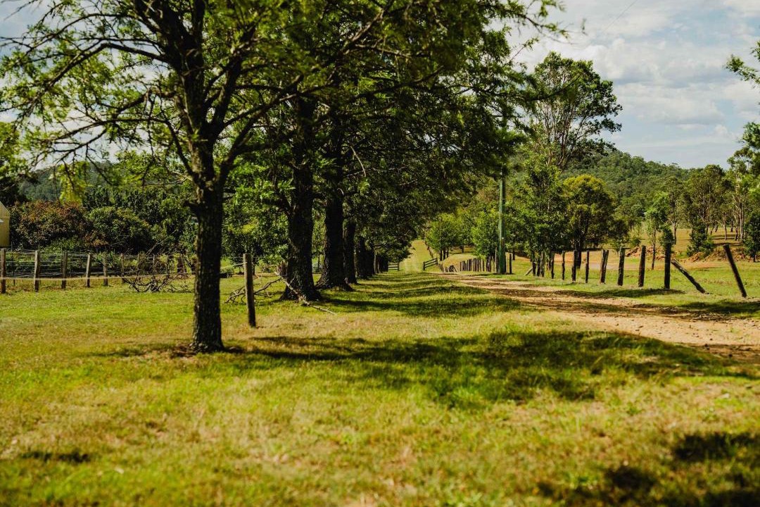 Photo of Others in Lovedale