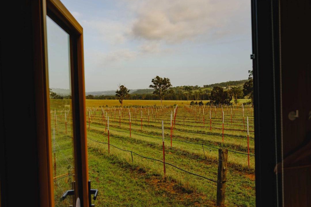Photo of Others in Lovedale