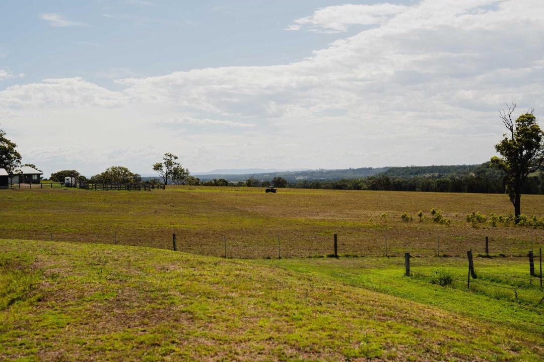 Photo of Others in Lovedale