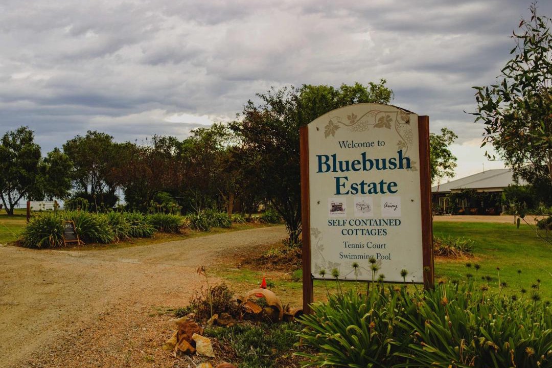 Photo of Others in Lovedale