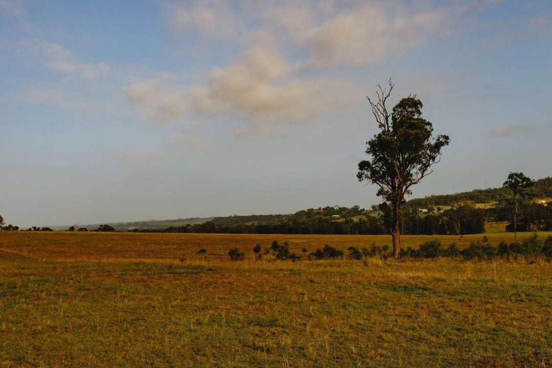 Photo of Others in Lovedale