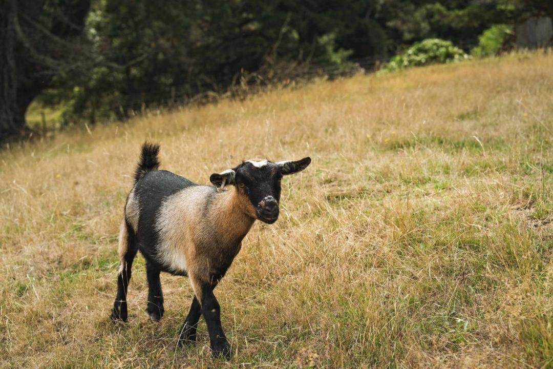 Photo of Others in Foster North