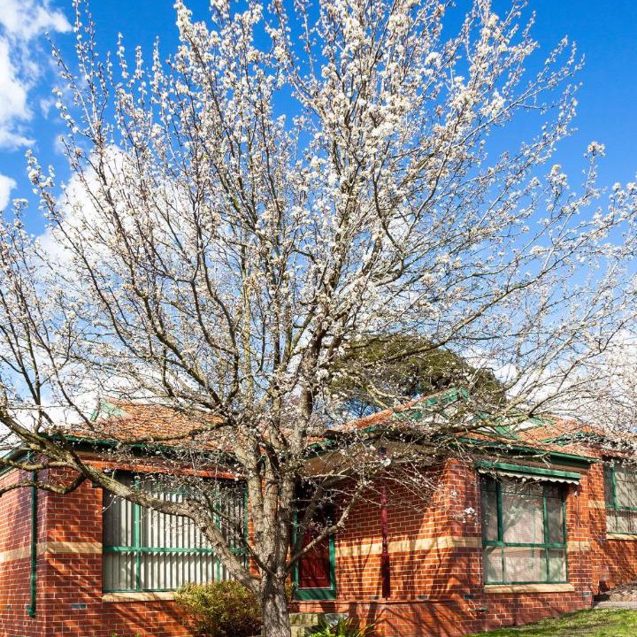 Photo of Others in Mount Waverley
