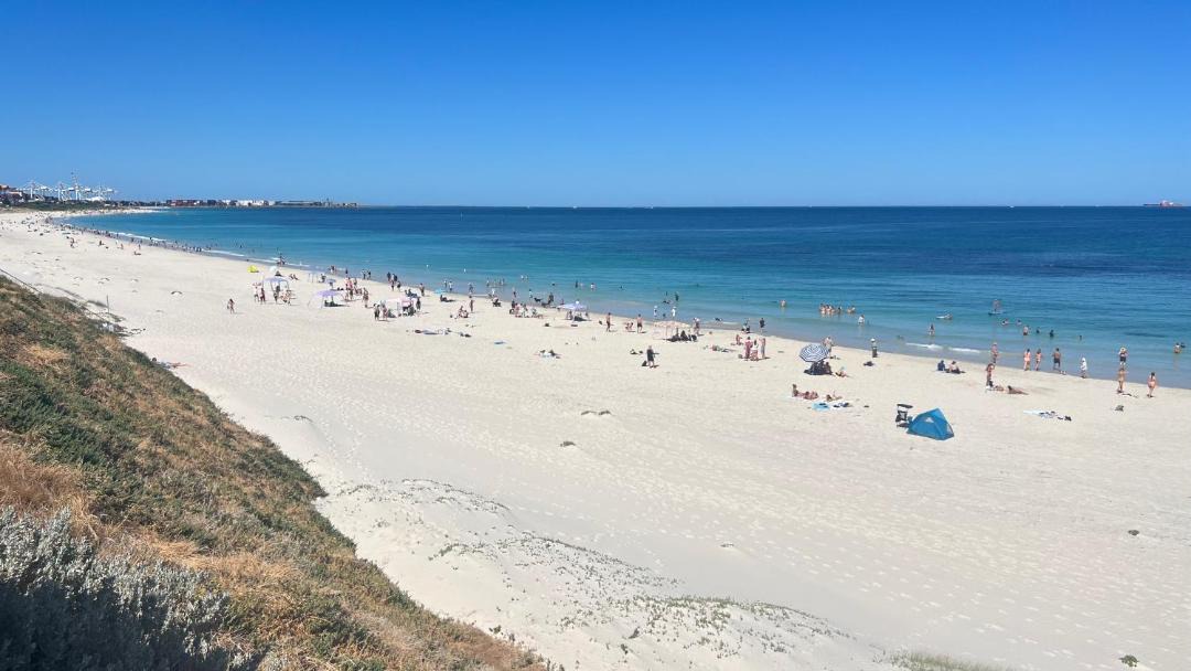 Photo of Others in Mosman Park