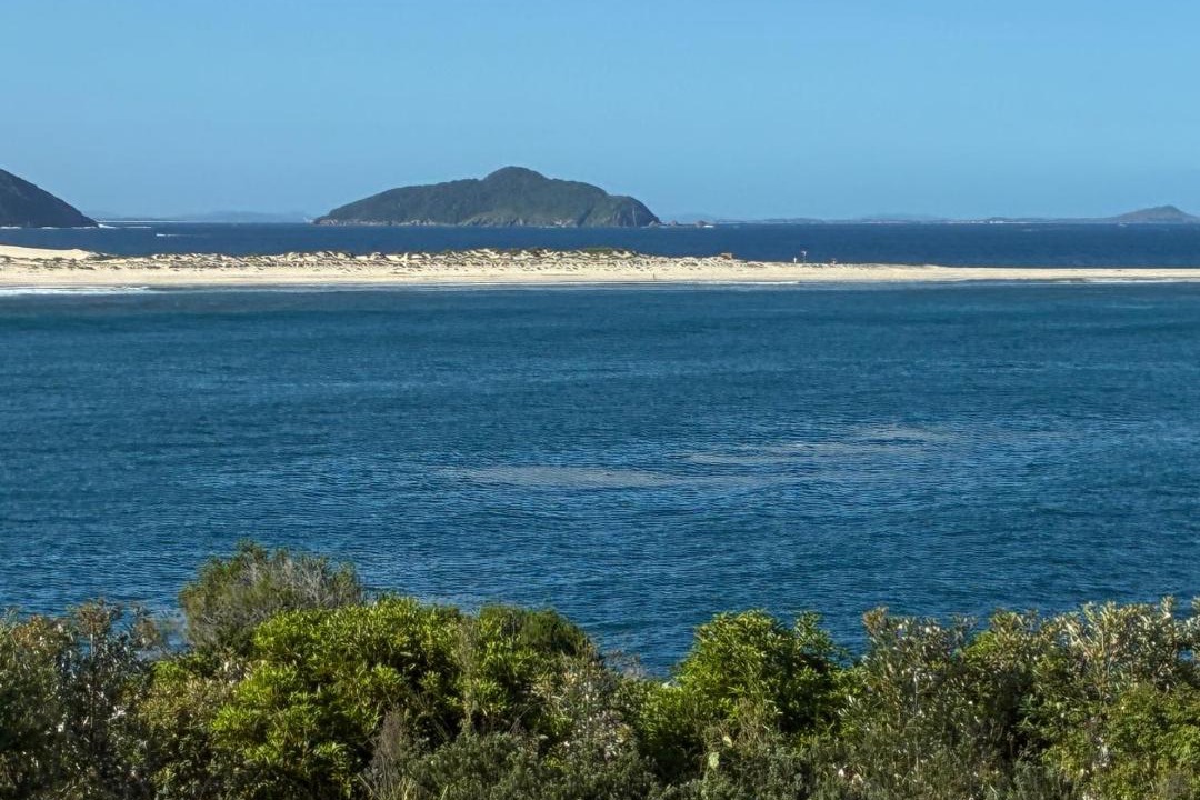 Photo of Others in Fingal Bay
