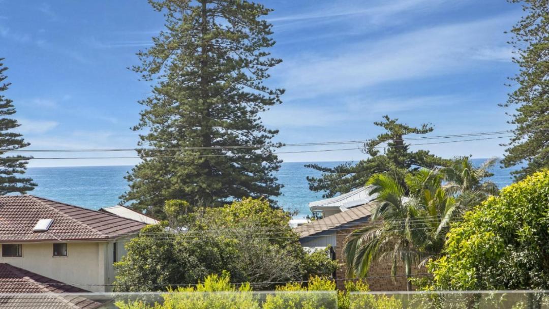 Photo of Others in Avoca Beach