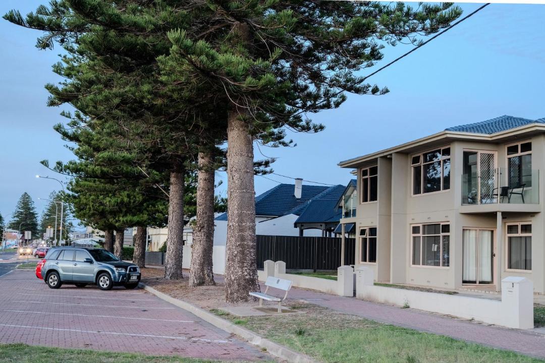 Photo of Others in Largs Bay