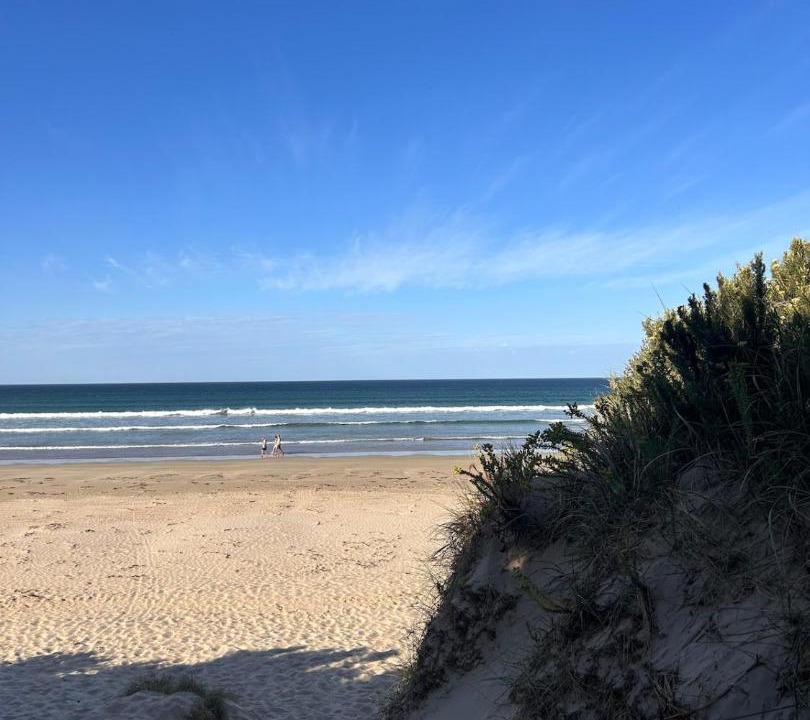 Photo of Others in Sandy Point