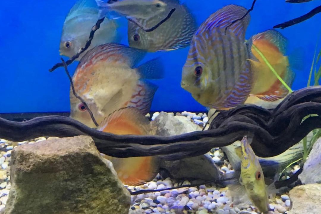 Photo of Others in Long Jetty