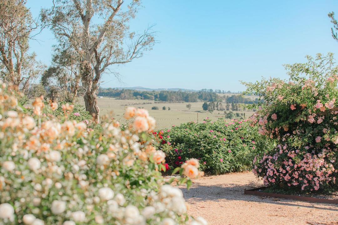 Photo of Others in Armidale