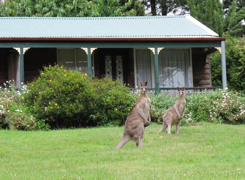 Photo of Others in Mount Victoria