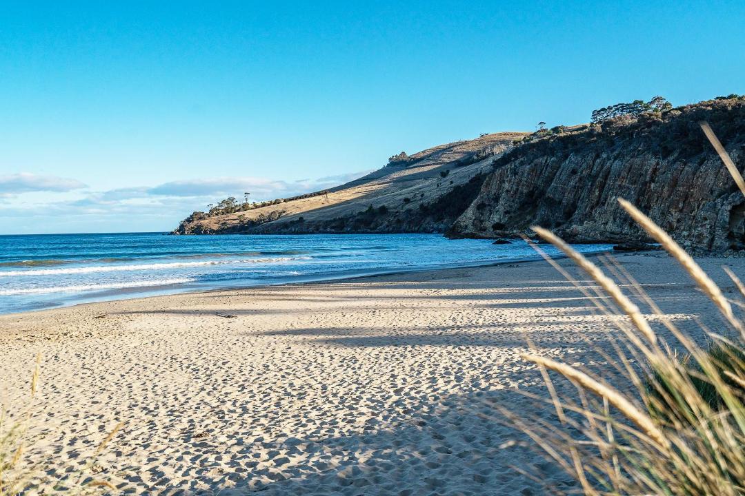 Photo of Others in Clifton Beach