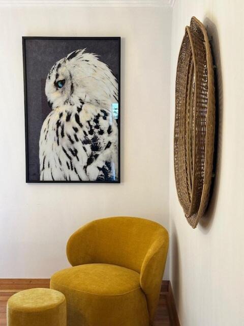 Photo of Livingroom in Penguin