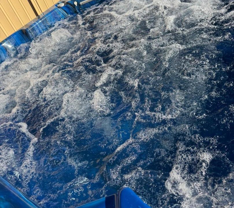 Photo of Others in Southern River