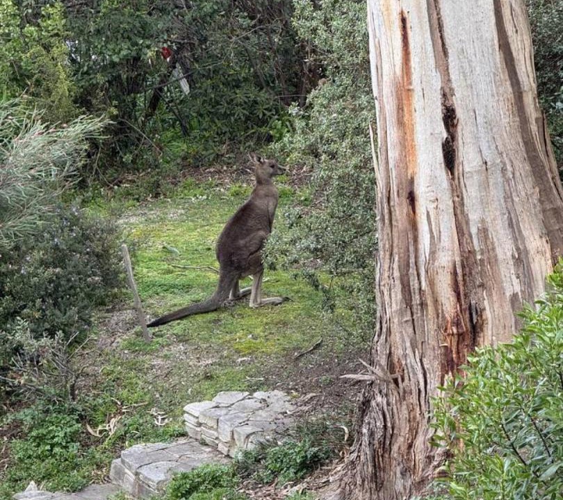 Photo of Others in Lorne