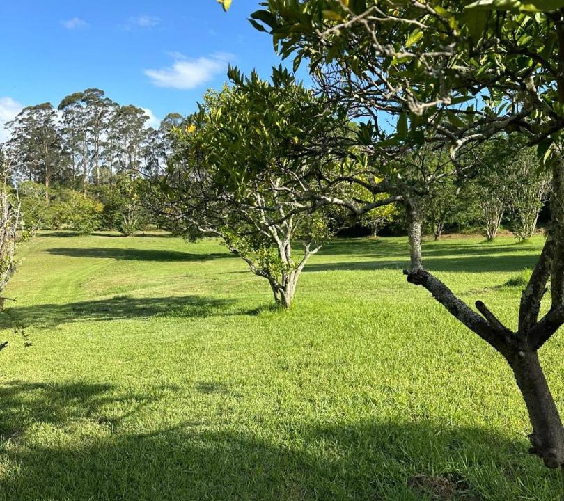 Photo of Others in Dural