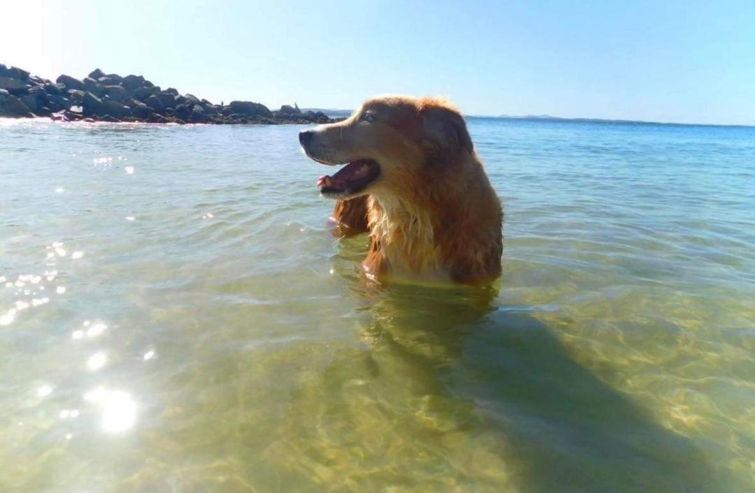 Photo of Others in Nelson Bay