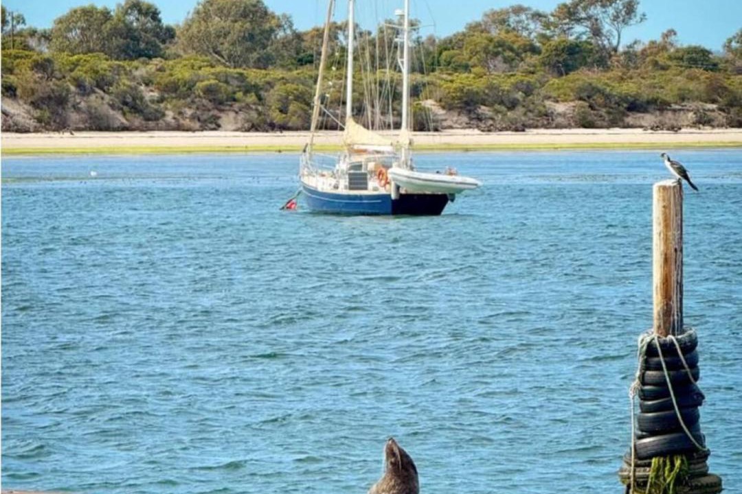 Photo of Others in American River