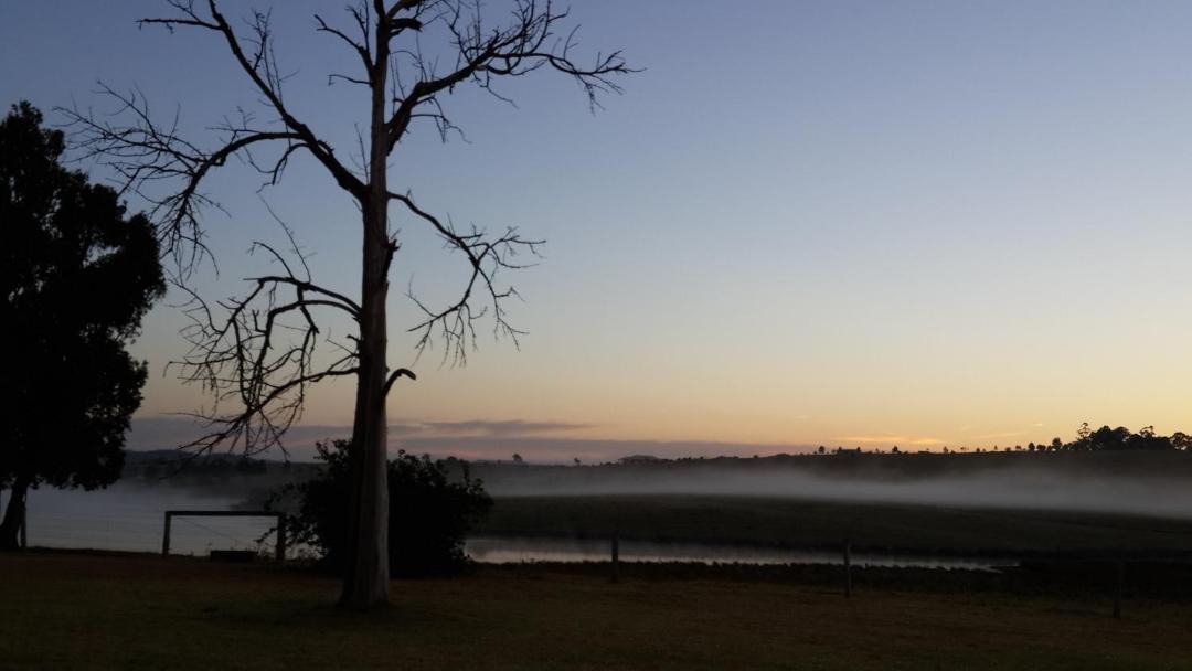 Photo of Others in Hunter Valley