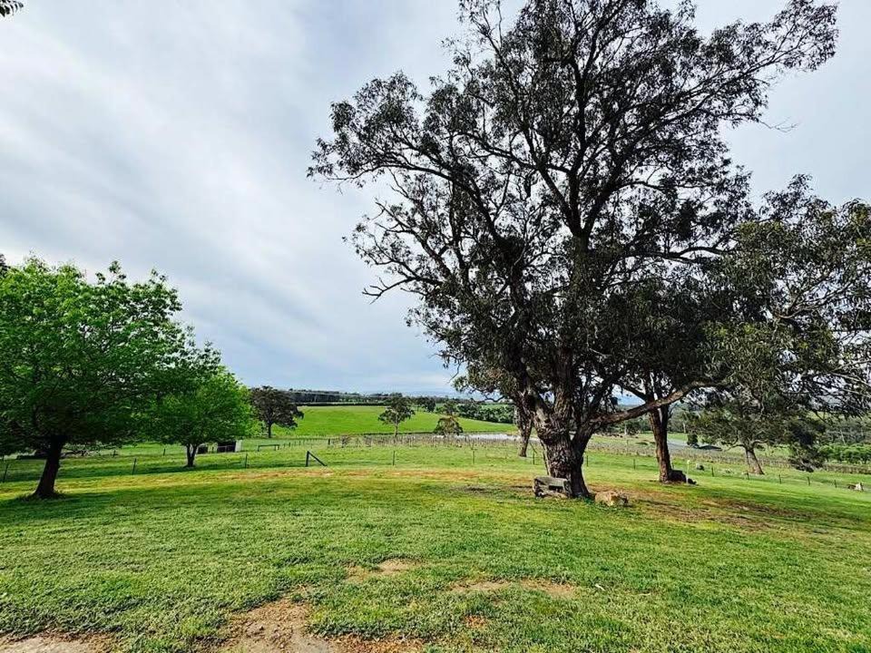 Photo of Others in Wandin North