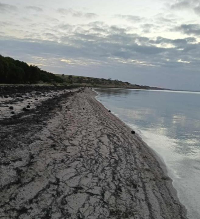 Photo of Others in Clifton Springs