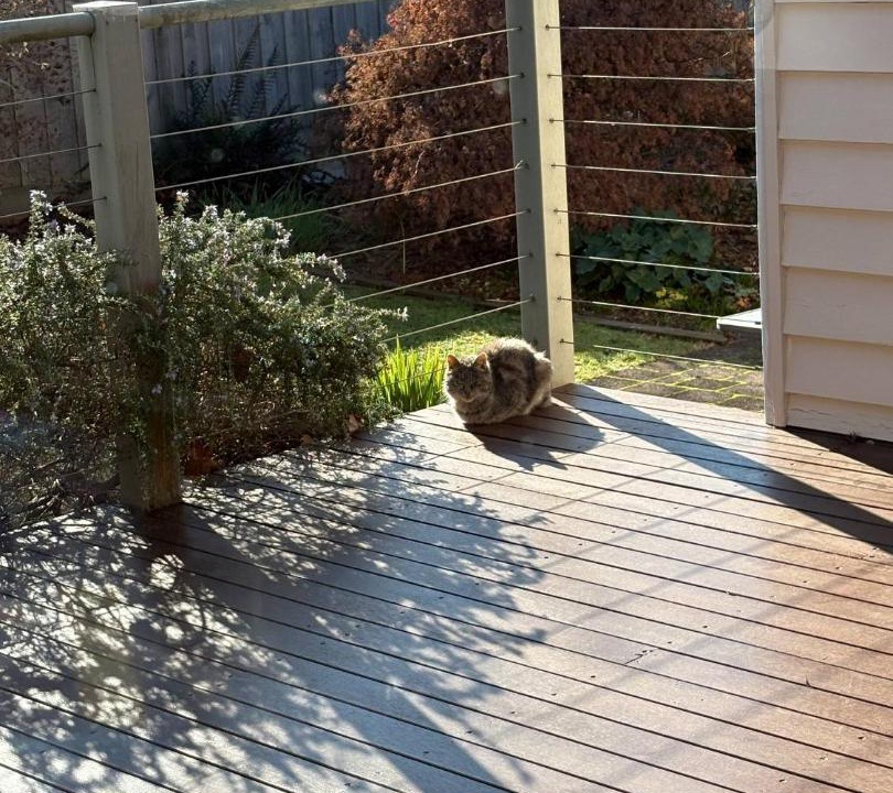 Photo of Others in Neerim South