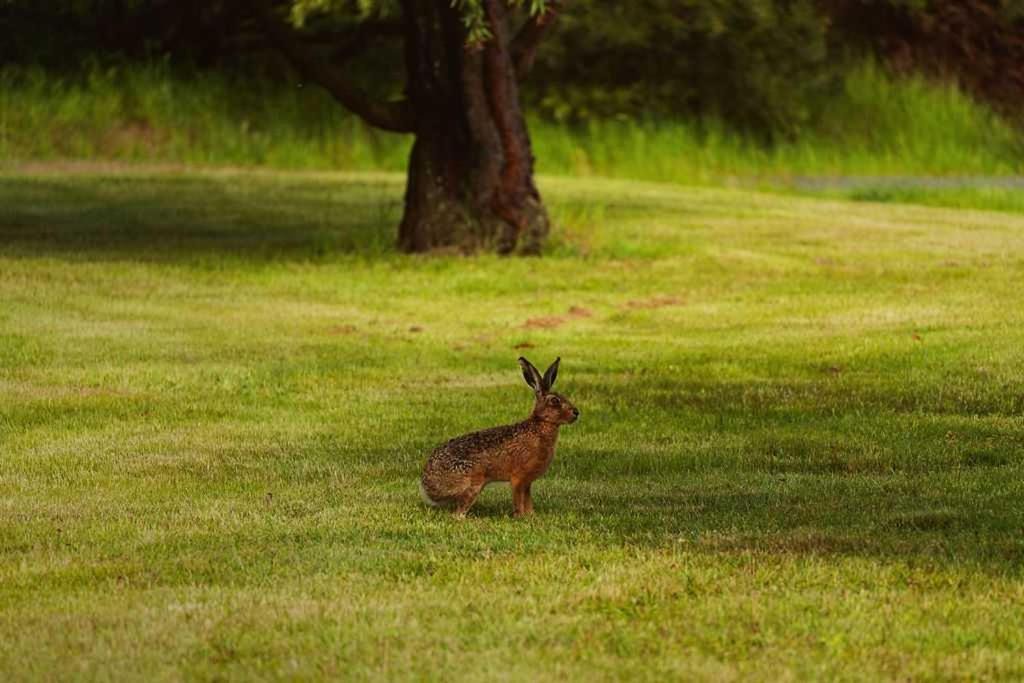Photo of Others in Kyneton