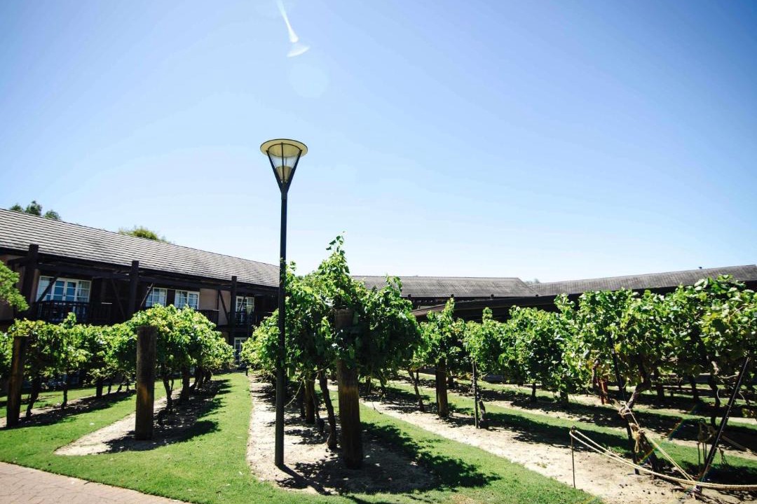 Photo of Others in The Vines
