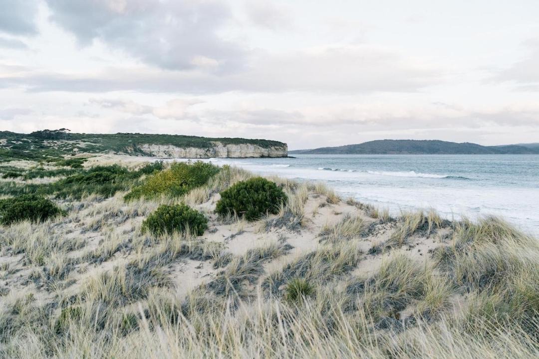 Photo of Others in Clifton Beach