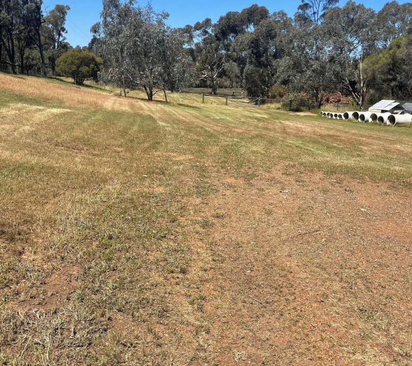 Photo of Others in Wooroloo