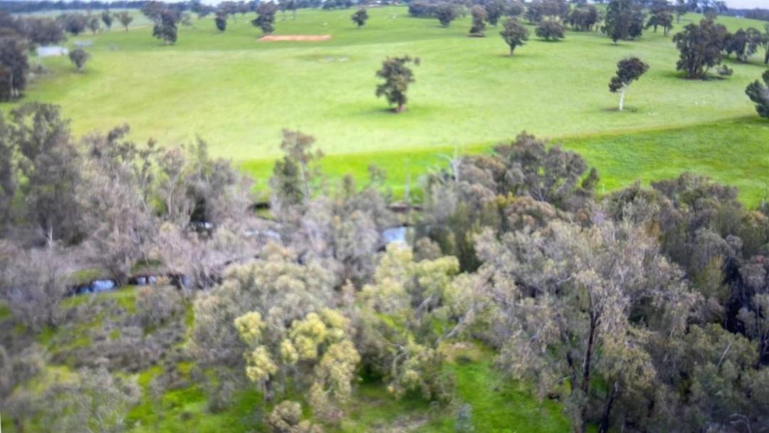 Photo of Others in Wooroloo