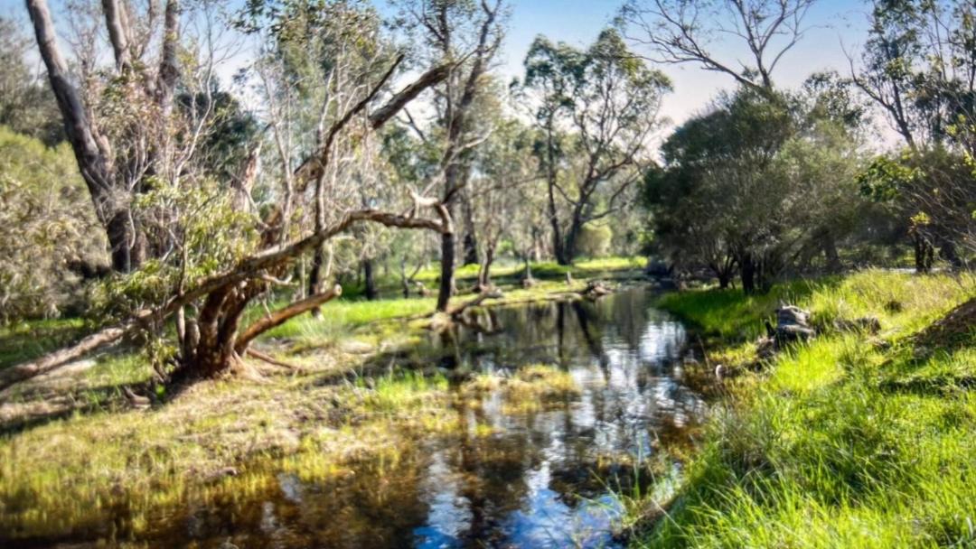 Photo of Others in Wooroloo