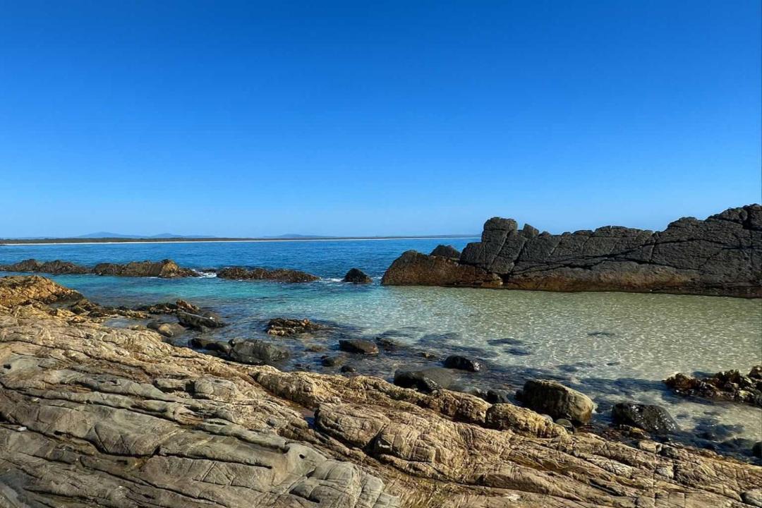 Photo of Others in Forster