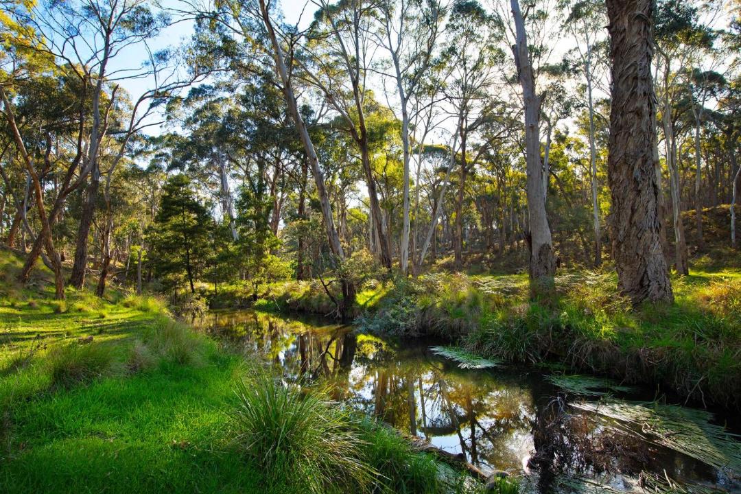 Photo of Others in Glenlyon