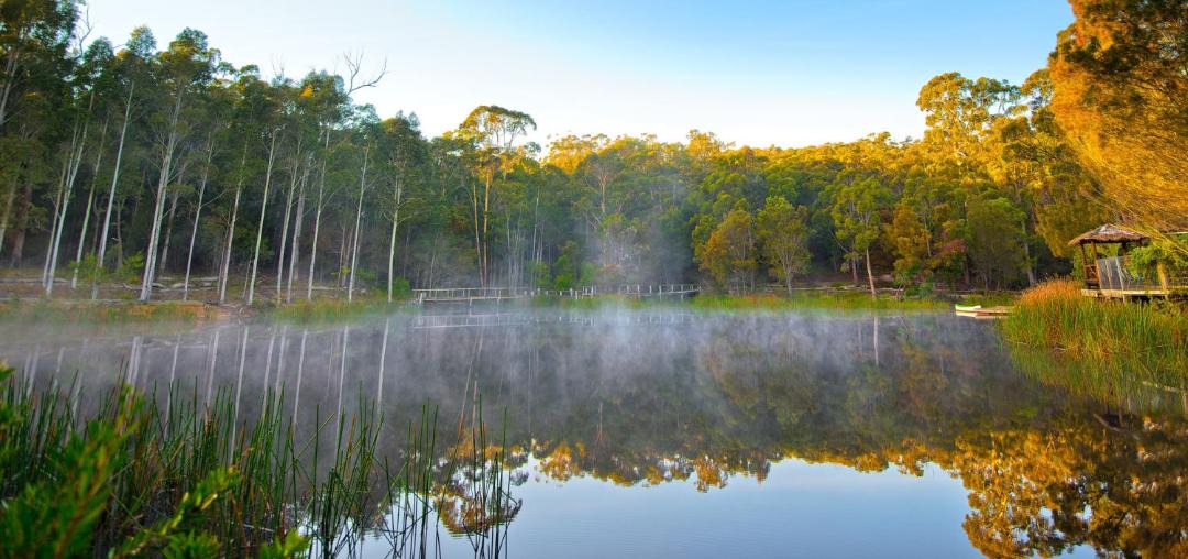 Photo of Others in Tathra