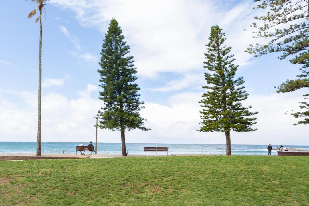 Photo of Others in Dee Why