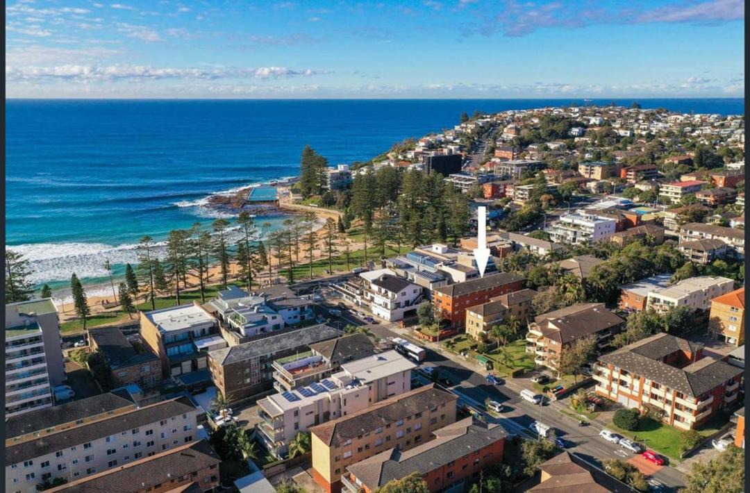 Photo of Others in Dee Why
