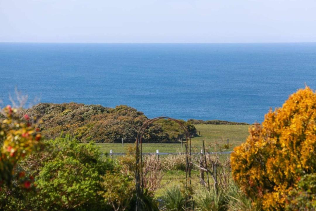 Photo of Others in Apollo Bay