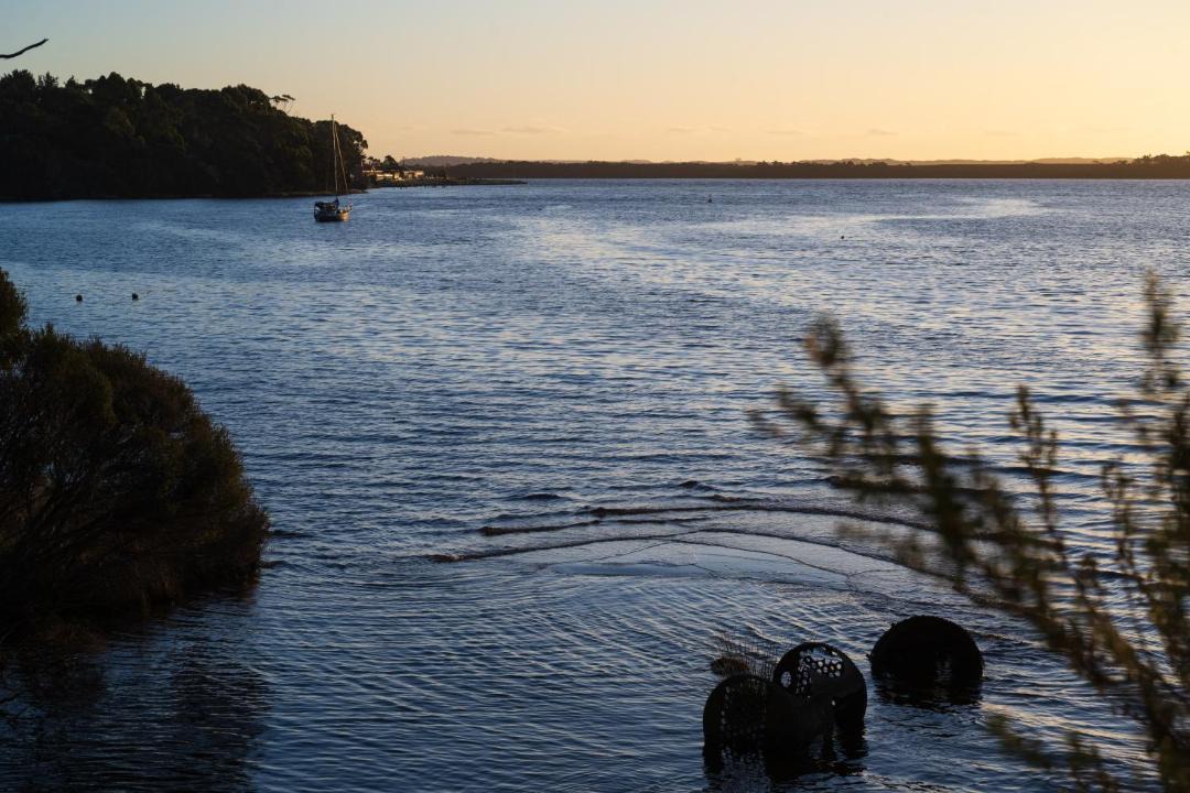 Photo of Others in Strahan