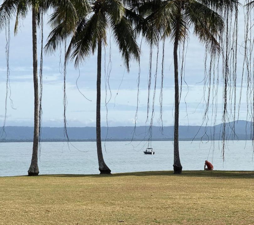 Photo of Others in Port Douglas