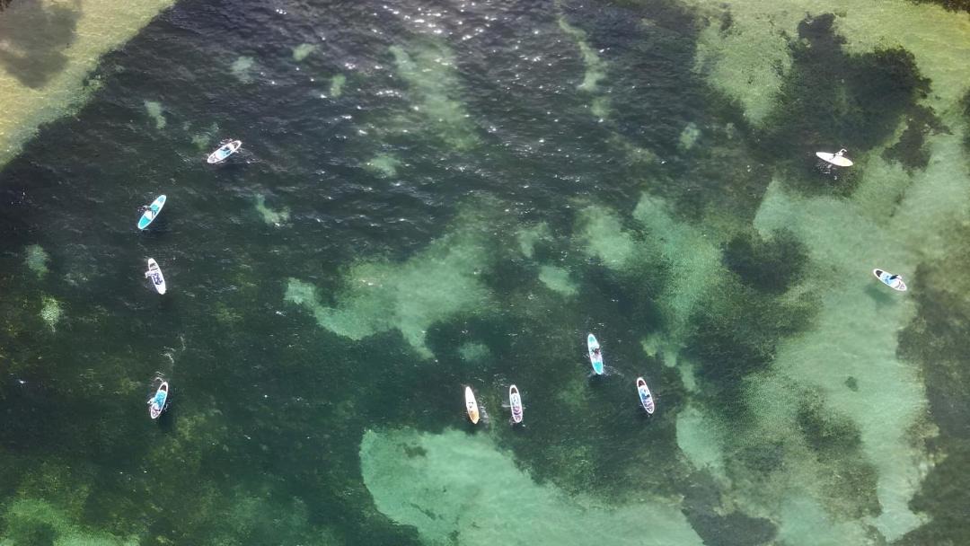 Photo of Others in Salamander Bay
