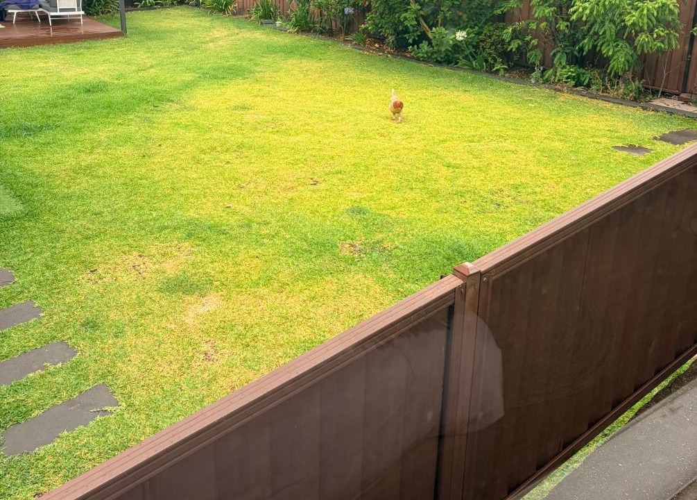 Photo of Others in Wentworthville